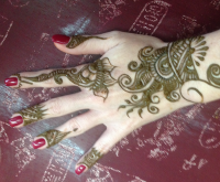 Resize of henna5